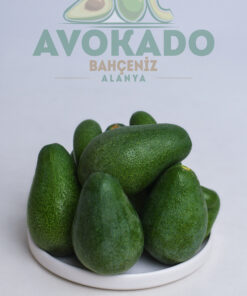 15 ADET FUERTE AVOKADO(Büyük Boy) + 1 KG LİMON