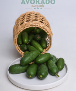BEBEK (PARMAK) AVOKADO - 500 Gr