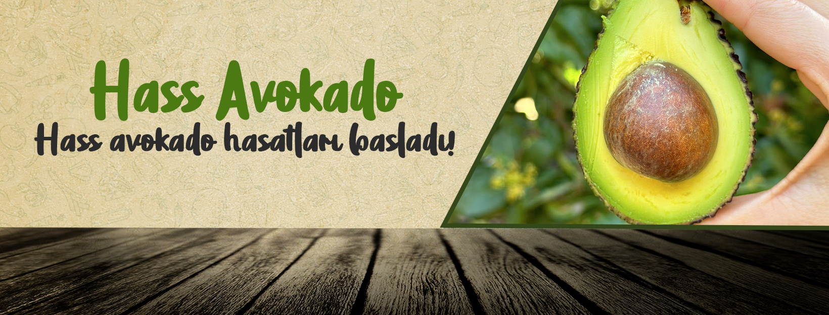 Stok