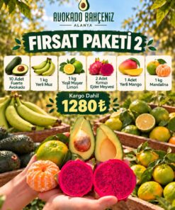 FIRSAT PAKETİ-2
