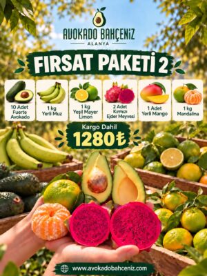 FIRSAT PAKETİ-2
