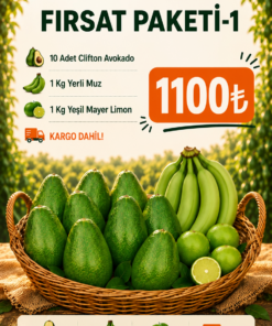FIRSAT PAKETİ-1
