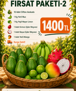 FIRSAT PAKETİ-2