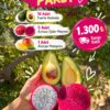TROPİKAL PAKET