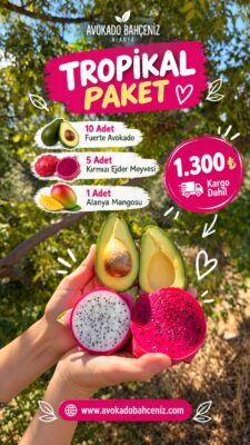 TROPİKAL PAKET