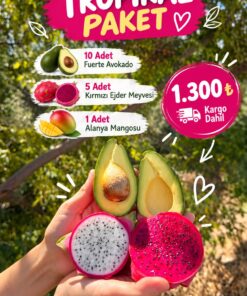 TROPİKAL PAKET