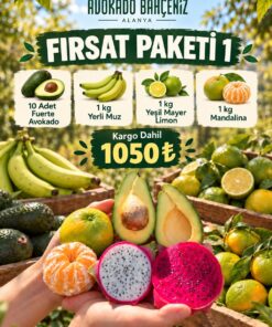 FIRSAT PAKETİ-1