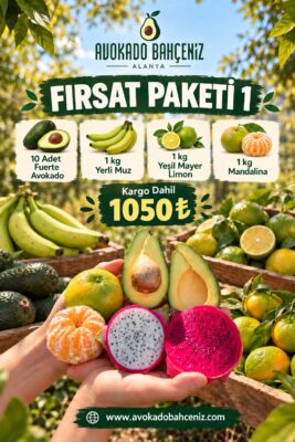 FIRSAT PAKETİ-1