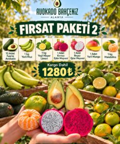 FIRSAT PAKETİ-2