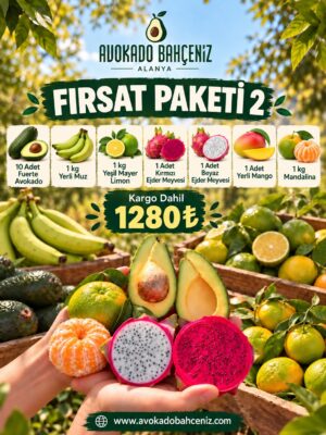 FIRSAT PAKETİ-2